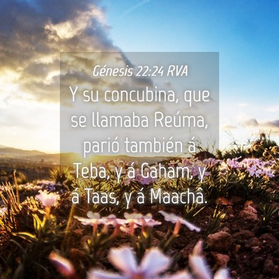 Picture 04 - Génesis 22:24 RVA - Y su concubina, que se llamaba Reúma, parió - Bible Verse Picture