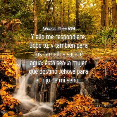 Picture 04 - Génesis 24:44 RVA - Y ella me respondiere, Bebe tú, y también para - Bible Verse Picture