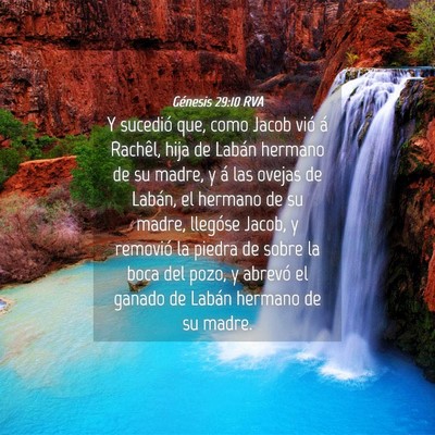 Picture 04 - Génesis 29:10 RVA - Y sucedió que, como Jacob vió á Rachêl, hija - Bible Verse Picture