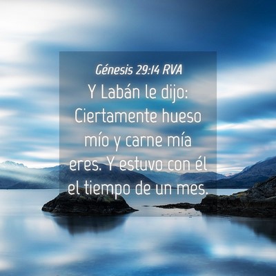 Picture 04 - Génesis 29:14 RVA - Y Labán le dijo: Ciertamente hueso mío y carne - Bible Verse Picture