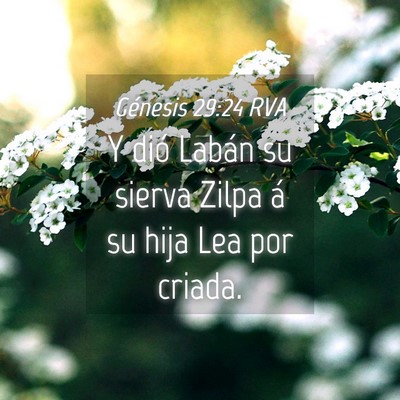 Picture 04 - Génesis 29:24 RVA - Y dió Labán su sierva Zilpa á su hija Lea por - Bible Verse Picture