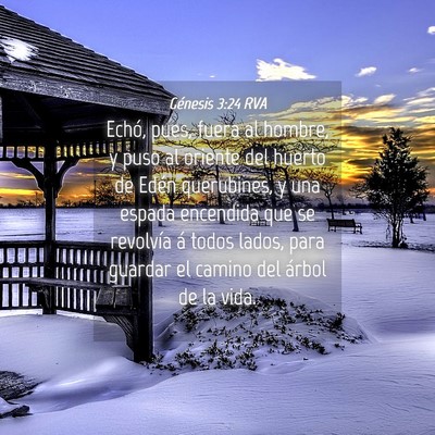 Picture 04 - Génesis 3:24 RVA - Echó, pues, fuera al hombre, y puso al oriente - Bible Verse Picture
