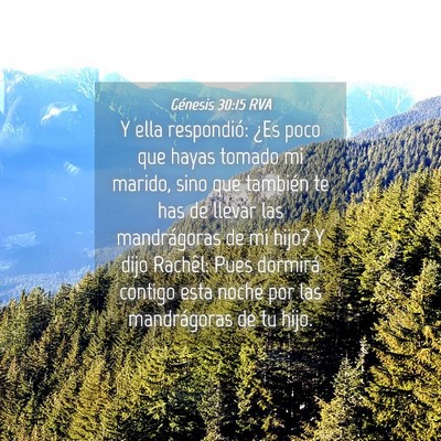 Picture 04 - Génesis 30:15 RVA - Y ella respondió: ¿Es poco que hayas tomado mi - Bible Verse Picture