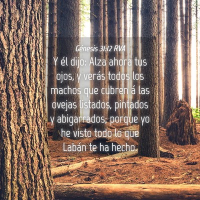 Picture 04 - Génesis 31:12 RVA - Y él dijo: Alza ahora tus ojos, y verás todos - Bible Verse Picture