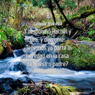 Picture 04 - Génesis 31:14 RVA - Y respondió Rachêl y Lea, y dijéronle: - Bible Verse Picture