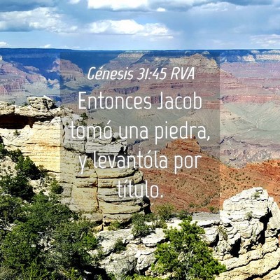 Picture 04 - Génesis 31:45 RVA - Entonces Jacob tomó una piedra, y levantóla por - Bible Verse Picture
