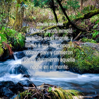 Picture 04 - Génesis 31:54 RVA - Entonces Jacob inmoló víctimas en el monte, y - Bible Verse Picture