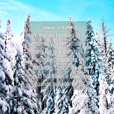 Picture 04 - Génesis 32:19 RVA - Y mandó también al segundo, y al tercero, y á - Bible Verse Picture