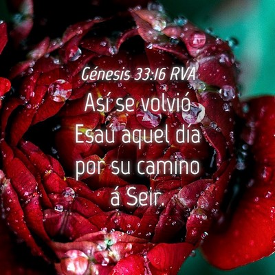 Picture 04 - Génesis 33:16 RVA - Así se volvió Esaú aquel día por su camino á - Bible Verse Picture