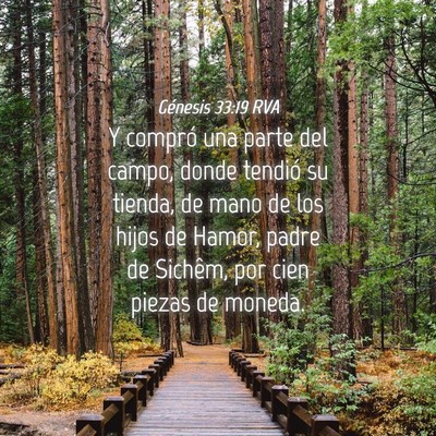 Picture 04 - Génesis 33:19 RVA - Y compró una parte del campo, donde tendió su - Bible Verse Picture