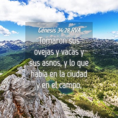 Picture 04 - Génesis 34:28 RVA - Tomaron sus ovejas y vacas y sus asnos, y lo que - Bible Verse Picture