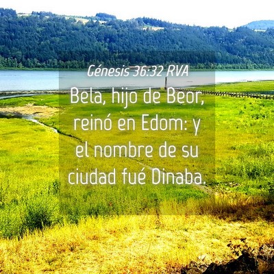 Picture 04 - Génesis 36:32 RVA - Bela, hijo de Beor, reinó en Edom: y el nombre - Bible Verse Picture