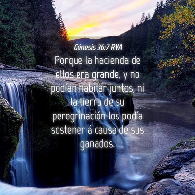 Picture 04 - Génesis 36:7 RVA - Porque la hacienda de ellos era grande, y no - Bible Verse Picture