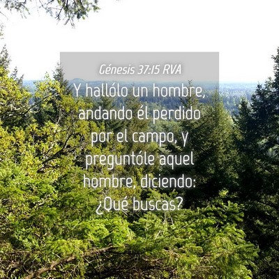 Picture 04 - Génesis 37:15 RVA - Y hallólo un hombre, andando él perdido por el - Bible Verse Picture