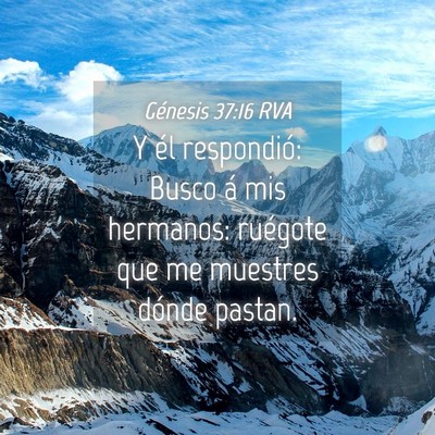 Picture 04 - Génesis 37:16 RVA - Y él respondió: Busco á mis hermanos: ruégote - Bible Verse Picture