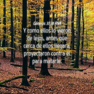 Picture 04 - Génesis 37:18 RVA - Y como ellos lo vieron de lejos, antes que cerca - Bible Verse Picture