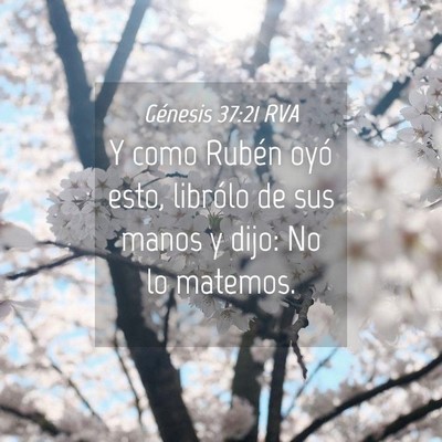 Picture 04 - Génesis 37:21 RVA - Y como Rubén oyó esto, librólo de sus manos y - Bible Verse Picture