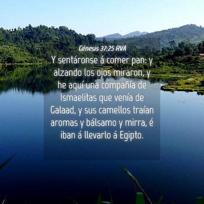 Picture 04 - Génesis 37:25 RVA - Y sentáronse á comer pan: y alzando los ojos - Bible Verse Picture