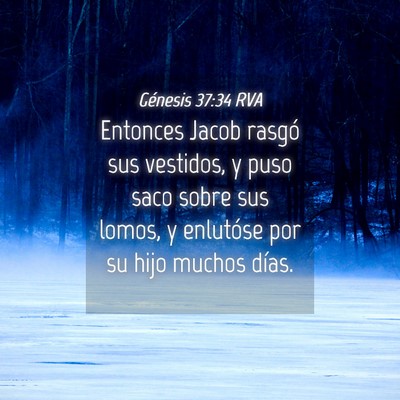 Picture 04 - Génesis 37:34 RVA - Entonces Jacob rasgó sus vestidos, y puso saco - Bible Verse Picture