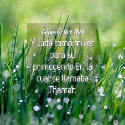 Picture 04 - Génesis 38:6 RVA - Y Judá tomó mujer para su primogénito Er, la - Bible Verse Picture