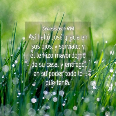Picture 04 - Génesis 39:4 RVA - Así halló José gracia en sus ojos, y - Bible Verse Picture