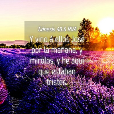 Picture 04 - Génesis 40:6 RVA - Y vino á ellos José por la mañana, y mirólos, - Bible Verse Picture