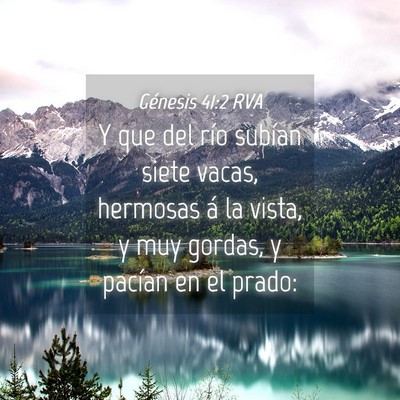 Picture 04 - Génesis 41:2 RVA - Y que del río subían siete vacas, hermosas á - Bible Verse Picture