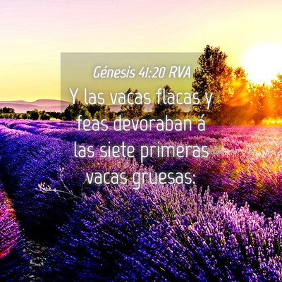 Picture 04 - Génesis 41:20 RVA - Y las vacas flacas y feas devoraban á las siete - Bible Verse Picture