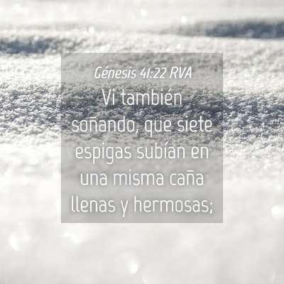 Picture 04 - Génesis 41:22 RVA - Vi también soñando, que siete espigas subían - Bible Verse Picture