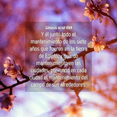 Picture 04 - Génesis 41:48 RVA - Y él juntó todo el mantenimiento de los siete - Bible Verse Picture