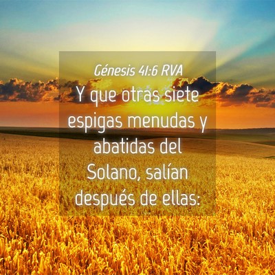Picture 04 - Génesis 41:6 RVA - Y que otras siete espigas menudas y abatidas del - Bible Verse Picture