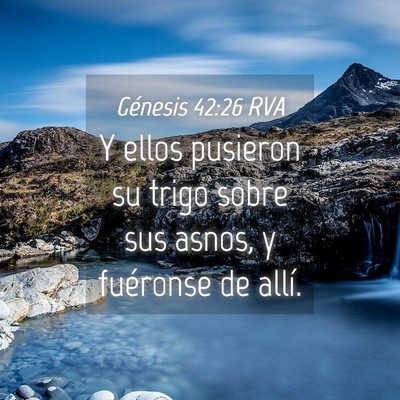 Picture 04 - Génesis 42:26 RVA - Y ellos pusieron su trigo sobre sus asnos, y - Bible Verse Picture
