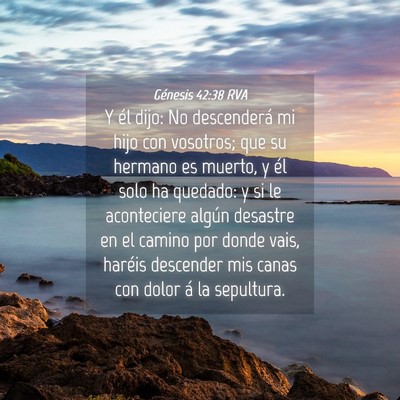 Picture 04 - Génesis 42:38 RVA - Y él dijo: No descenderá mi hijo con vosotros; - Bible Verse Picture