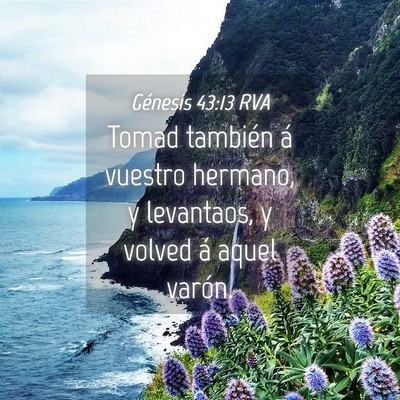 Picture 04 - Génesis 43:13 RVA - Tomad también á vuestro hermano, y levantaos, y - Bible Verse Picture
