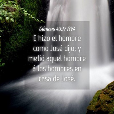 Picture 04 - Génesis 43:17 RVA - E hizo el hombre como José dijo; y metió aquel - Bible Verse Picture