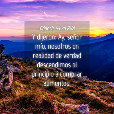 Picture 04 - Génesis 43:20 RVA - Y dijeron: Ay, señor mío, nosotros en realidad - Bible Verse Picture