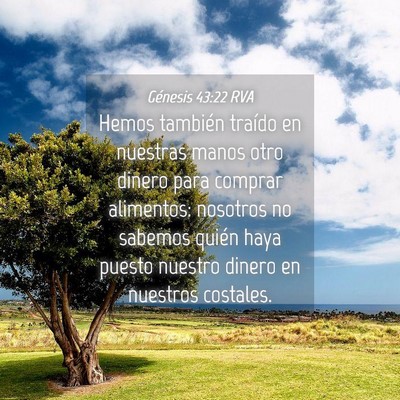 Picture 04 - Génesis 43:22 RVA - Hemos también traído en nuestras manos otro - Bible Verse Picture