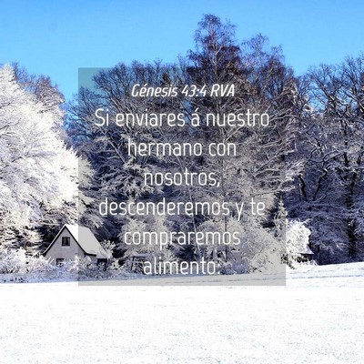 Picture 04 - Génesis 43:4 RVA - Si enviares á nuestro hermano con nosotros, - Bible Verse Picture