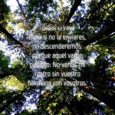 Picture 04 - Génesis 43:5 RVA - Pero si no le enviares, no descenderemos: porque - Bible Verse Picture