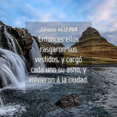 Picture 04 - Génesis 44:13 RVA - Entonces ellos rasgaron sus vestidos, y cargó - Bible Verse Picture