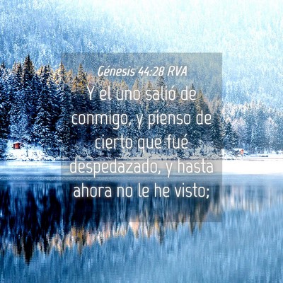 Picture 04 - Génesis 44:28 RVA - Y el uno salió de conmigo, y pienso de cierto - Bible Verse Picture
