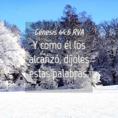 Picture 04 - Génesis 44:6 RVA - Y como él los alcanzó, díjoles estas - Bible Verse Picture