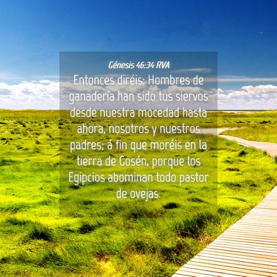 Picture 04 - Génesis 46:34 RVA - Entonces diréis: Hombres de ganadería han sido - Bible Verse Picture