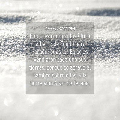 Picture 04 - Génesis 47:20 RVA - Entonces compró José toda la tierra de Egipto - Bible Verse Picture
