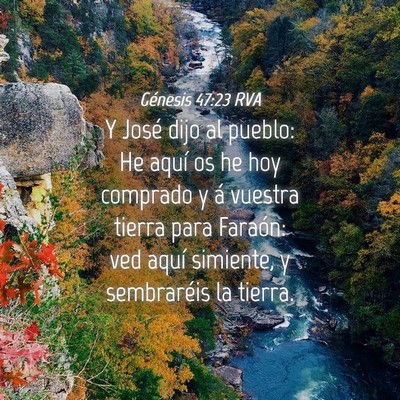 Picture 04 - Génesis 47:23 RVA - Y José dijo al pueblo: He aquí os he hoy - Bible Verse Picture