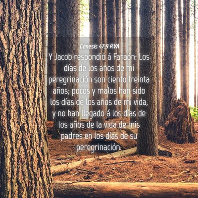 Picture 04 - Génesis 47:9 RVA - Y Jacob respondió á Faraón: Los días de los - Bible Verse Picture
