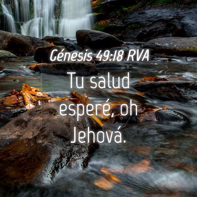 Picture 04 - Génesis 49:18 RVA - Tu salud esperé, oh - Bible Verse Picture