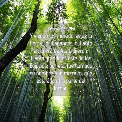 Picture 04 - Génesis 50:11 RVA - Y viendo los moradores de la tierra, los - Bible Verse Picture