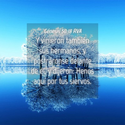 Picture 04 - Génesis 50:18 RVA - Y vinieron también sus hermanos, y postráronse - Bible Verse Picture