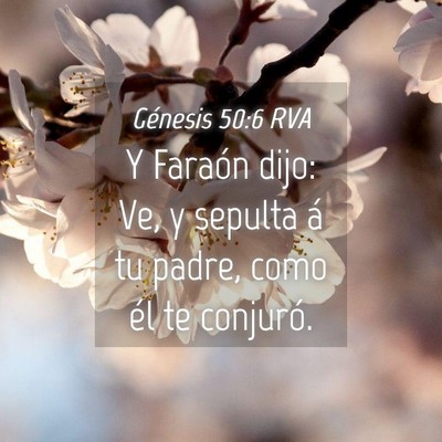 Picture 04 - Génesis 50:6 RVA - Y Faraón dijo: Ve, y sepulta á tu padre, como - Bible Verse Picture
